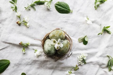 Easter flat lay. Stylish easter eggs in nest, flowers and cherry blossoms o.. Stockfoto's