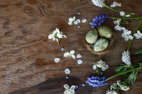Easter flat lay. Stylish easter eggs in nest and spring flowers and cherry .. Stock Photos