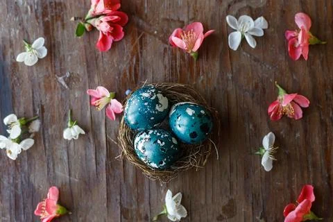 Easter flat lay. Stylish easter eggs in nest and spring flowers and cherry .. Stock Photos