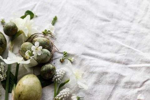 Easter flat lay. Stylish easter eggs in nest, daffodils flowers and cherry .. Stock Photos