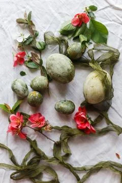Easter flat lay. Stylish green easter eggs, red flowers and cherry blossoms.. Stock Photos