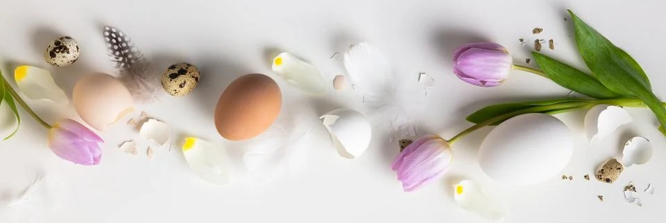 Easter floral background, various eggs end egg shell and tulips Stock Photos