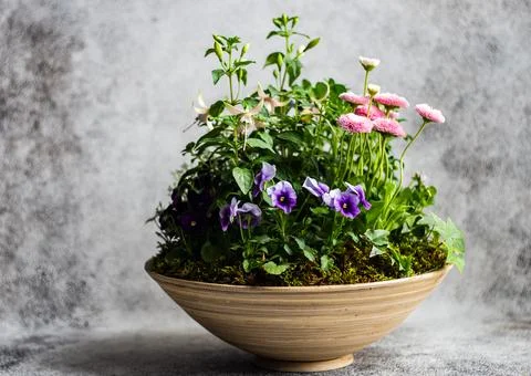 Easter floral composition Stock-Fotos