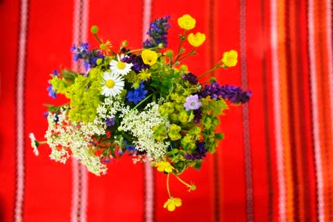 Easter flowers Stock Photos