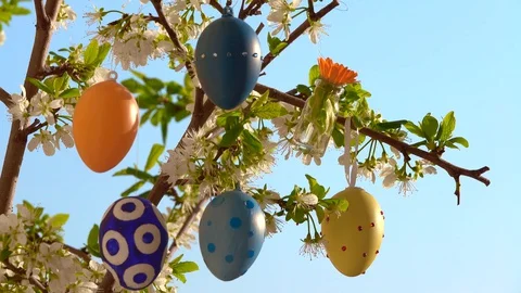 Easter Stock Footage 127957376
