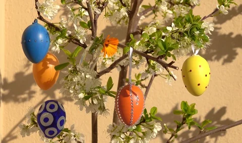 Easter Stock-Footage 127957392