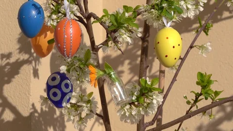 Easter Stock-Footage 127957402