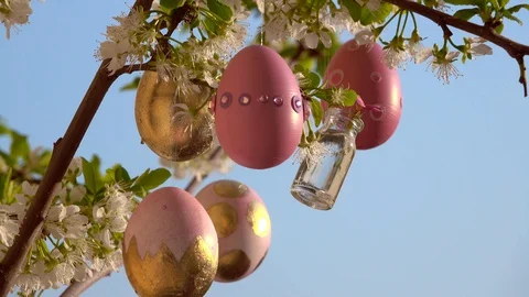 Easter Stock-Footage 127957461