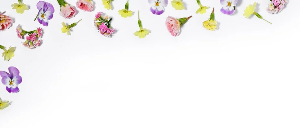 Easter frame Stock Photos