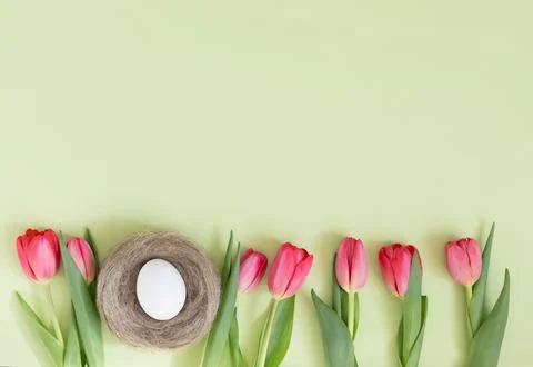 Easter frame with pink tulips and a white egg in a nest on a green background Stock Photos