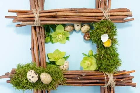 Easter frame with seven boiled  and one raw eggs and three hellebore flowers Stock Photos
