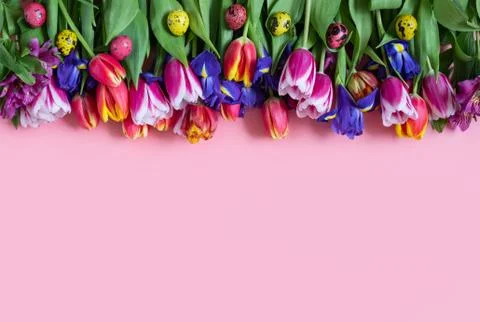 Easter frame with spring flowers and colorful quail eggs on a pink background Stock Photos