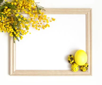 Easter frame with yellow branches of acacia flowers and yellow eggs  Stock Photos
