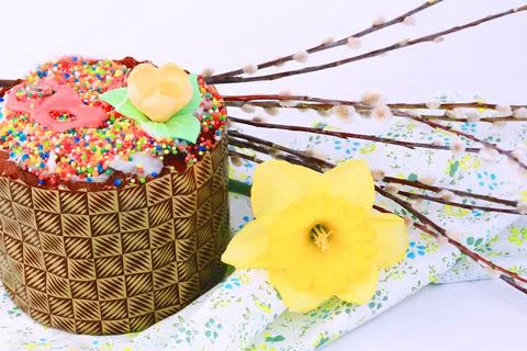 Easter gentle background daffodil willow very soft selective focus Stock Photos