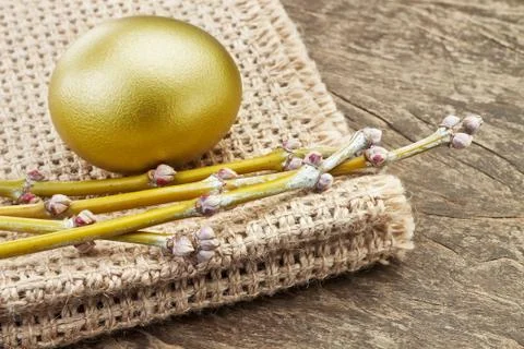 Easter golden egg on sacking the branches with buds. Stock Photos
