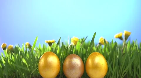 Easter golden eggs on fresh green grass background. Video stock 55904625