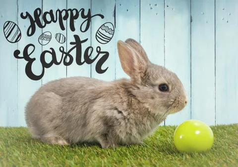 Easter graphic over rabbit on grass with egg against blue wood panel Stock-Fotos