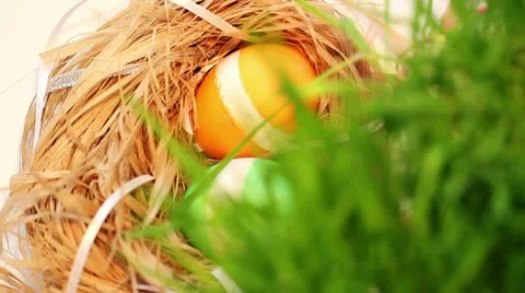 Easter grass and eggs Stock Footage 21950474
