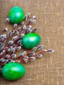 Easter green eggs with and willow Stock Photos