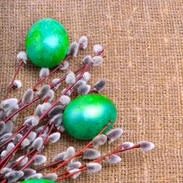 Easter green eggs with and willow Stock Photos