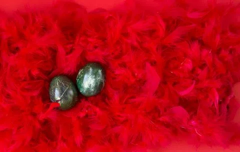 Easter green eggs in red feathers. Horizontal format. Close-up, top view. Stock Photos