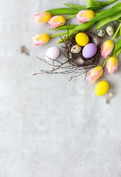 Easter greeting card template with a blank space for a text Stock Photos