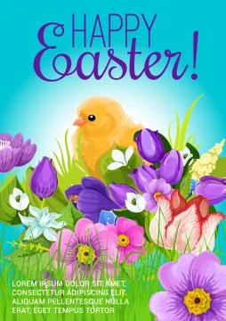 Easter greeting vector poster of chick and flowers Illustrazione stock
