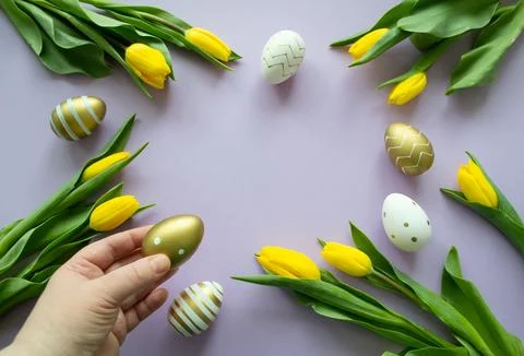 Easter greetings: close up hand holds golden egg, yellow tulips, painted eggs Stock Photos