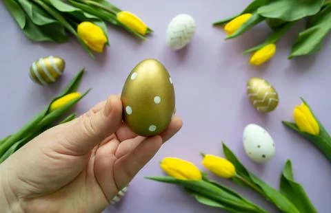 Easter greetings: close up hand holds golden egg, yellow tulips Stock Photos