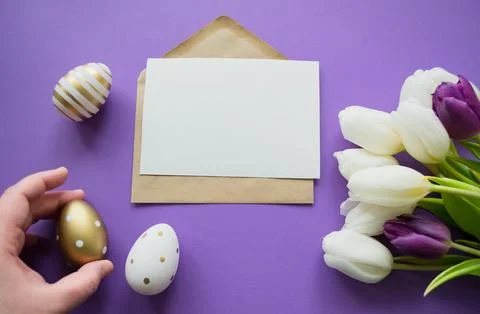 Easter greetings: colored eggs, white tulips. Letter with copy space, purple Stock Photos