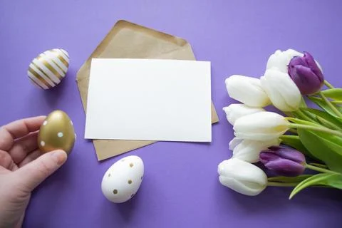 Easter greetings: colored eggs, white tulips. Letter with copy space, purple Stock Photos