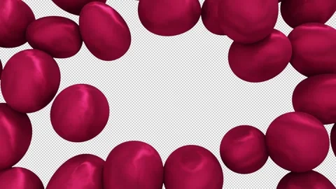 Easter Greetings Version 2 Video stock 269676047