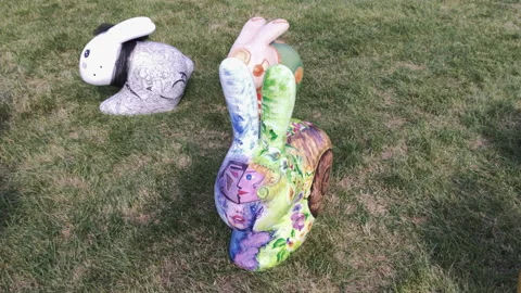 Easter hares on a green field Stock Footage 134202247