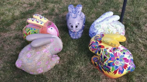 Easter hares on a green field Stock Footage 134202283