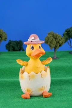 Easter hatched chick Stock Photos