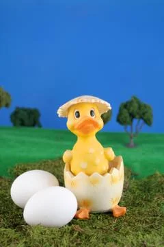 Easter hatched chick Stock Photos