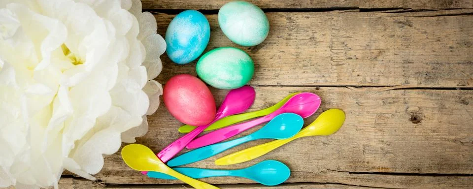 Easter header, colorful dyed easter eggs and spoons with a paper flower, copy Stock Photos