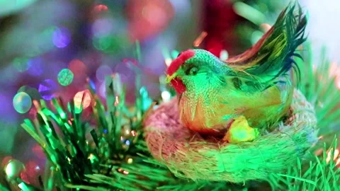 Easter hen in the nest Stock Footage 169583645