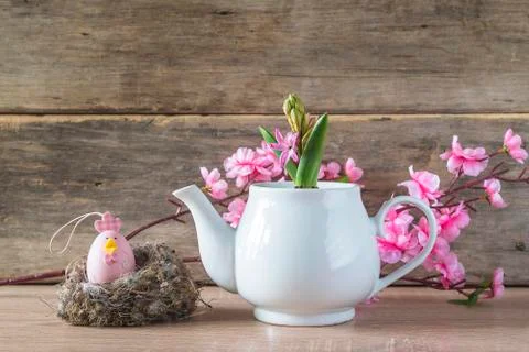 Easter holiday and spring composition. Hyacinth growth in white teapot, pink  Stock Photos