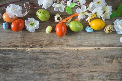 Easter holiday background. Twig with cherry blossom and easter eggs on old no Stock Photos