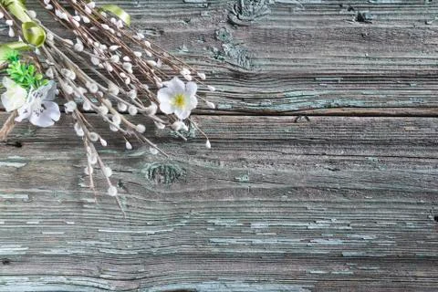 Easter holiday composition. Quail eggs and willow twigs on old paint wooden b Stock Photos