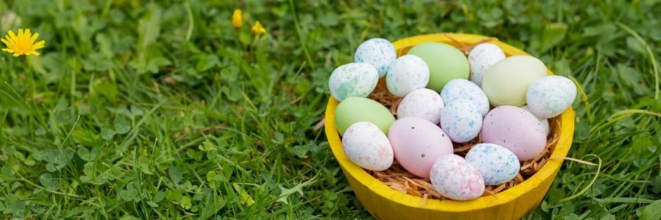Easter holiday concept. Easter decor with bright painted eggs in grass. web Stock Photos