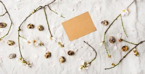 Easter holiday flat-lay with quail eggs and almond tree branches Stock Photos