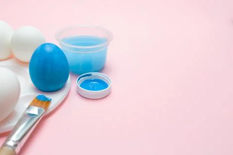 Easter holiday. The process of dyeing an egg blue on a pink background. Paint Stock Photos