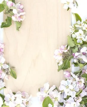 Easter holiday template; frame of apple blossom on a wooden background Stock Photos