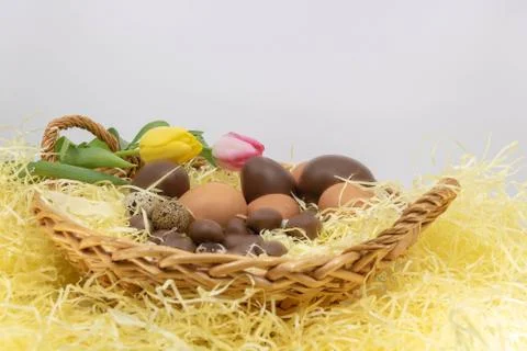 Easter holidays and spring arrival easter eggs and tulips in a wicker basket Stock Photos
