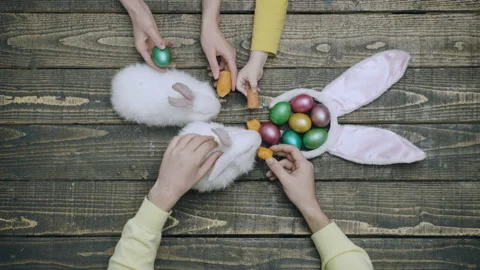 Easter holidays. Bunny with eggs. Feeding bunnys. Spring holiday concept. Stock Footage 152350681