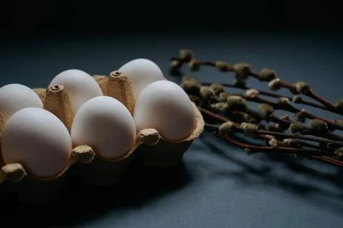 Easter holidays concept. Close up white easter eggs in carton box with willow Stock Photos