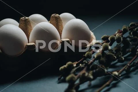 Easter holidays concept. Close up white easter eggs in carton box with willow Stock Photos