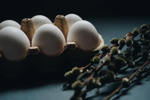 Easter holidays concept. Close up white easter eggs in carton box with willow Stock Photos